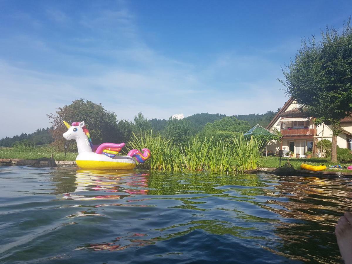 Paradies 1 Döttingen Eksteriør billede